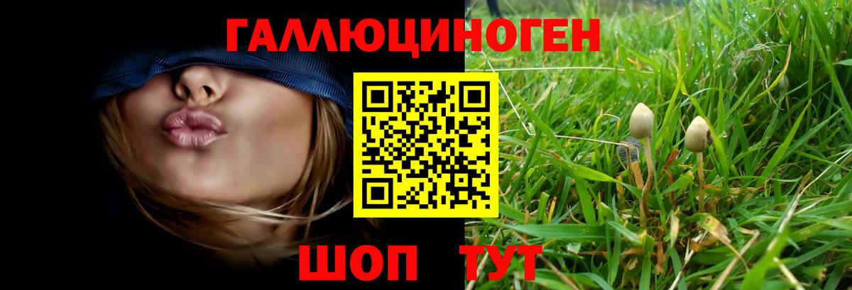 Буйнакск  Галлюциногенные грибы прущие грибы  Вход с VPN 