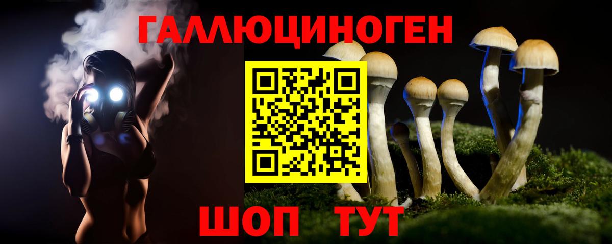 Псилоцибиновые грибы Psilocybine cubensis Буйнакск